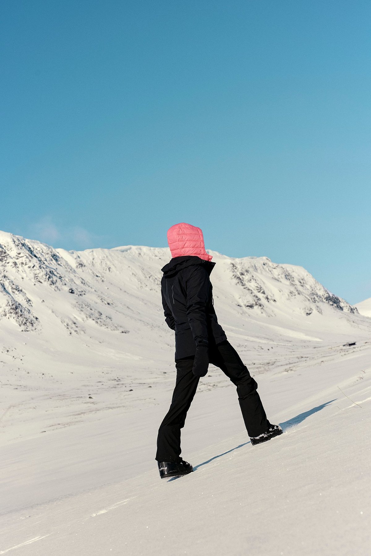 Twentyfour Aurora 2L Skalljakke D Sort