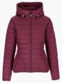 Twentyfour Mode Thermal Jakke D M Burgunder