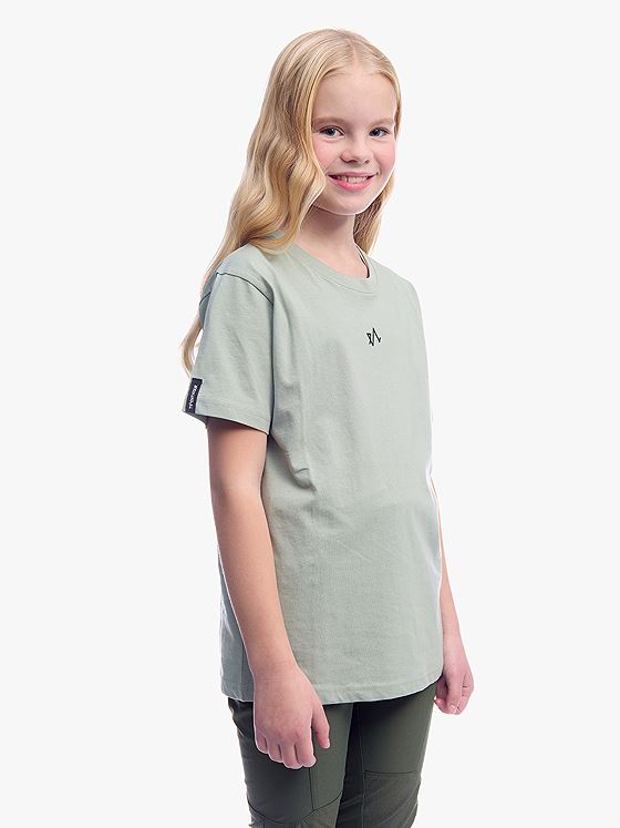 Twentyfour & T-skjorte JR Grågrønn
